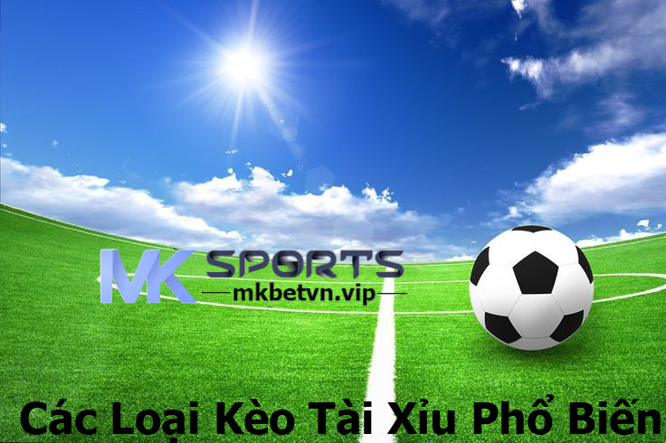 Các Loại Kèo Tài Xỉu Phổ Biến