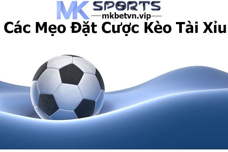 Các Mẹo Đặt Cược Kèo Tài Xỉu Hiệu Quả