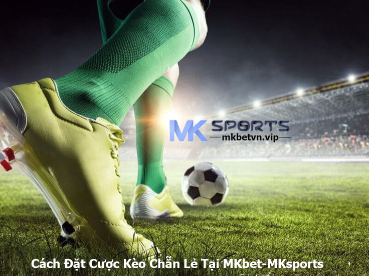 Cách Đặt Cược Kèo Chẵn Lẻ Tại MKbet-MKsports