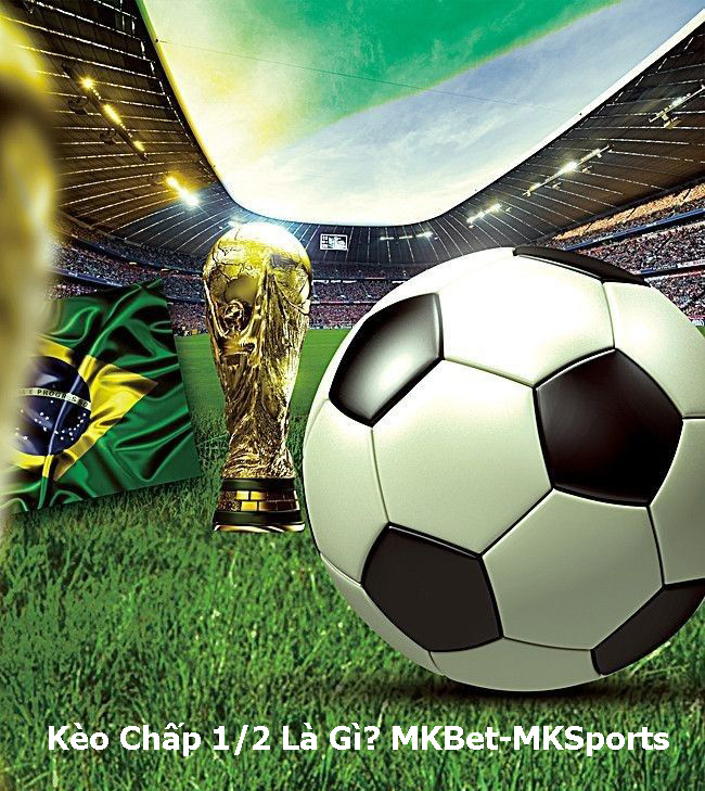 Kèo Chấp 1/2 Là Gì MKBet-MKSports